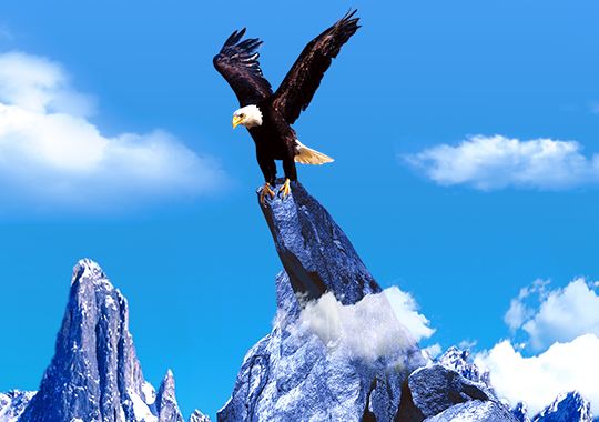 公海赌赌船官网jc710实业集团有限公司